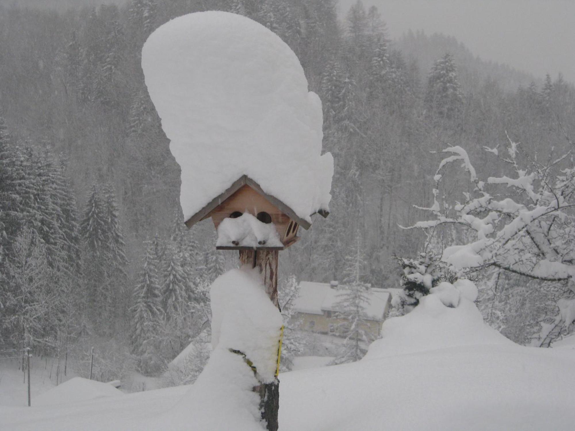 Landhaus Seebacher ชปิทัล อัม เพิร์ม ภายนอก รูปภาพ