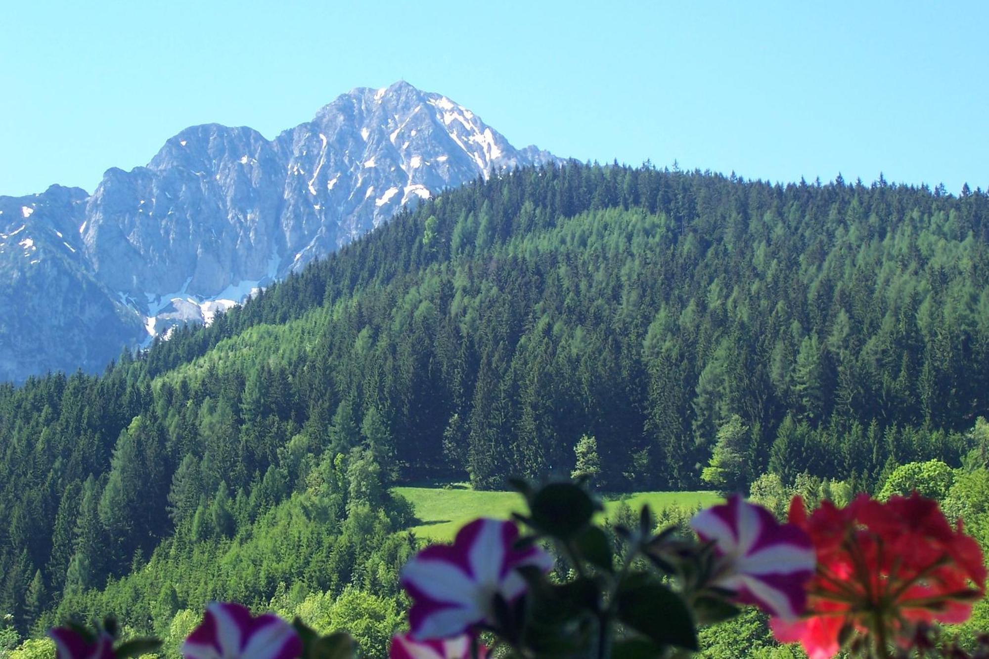 Landhaus Seebacher ชปิทัล อัม เพิร์ม ภายนอก รูปภาพ